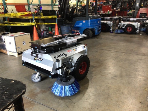 [L-2575] L-2575 - 2024 EMILY STAR CLEAN